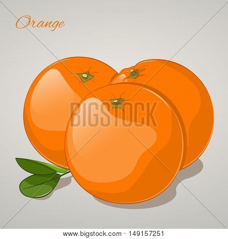 Cartoon sweet orange on grey background. Vector Illustration. Fruits and vegetables collection.