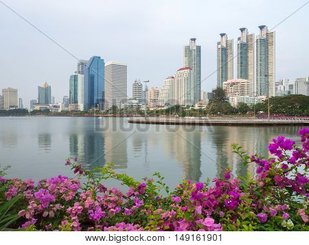 City scape at day and the Pink flower is foreground