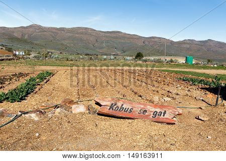 Farmland With Mountains On The Swartberg Pass