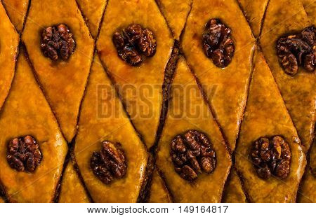 Baklava. Traditional east sweet with walnuts. Close up
