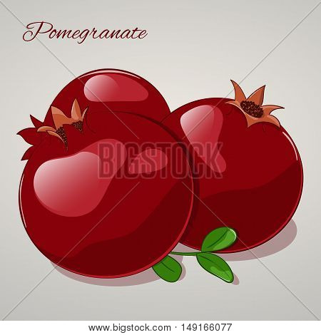 Cartoon sweet pomegranate on grey background. Vector Illustration. Fruits and vegetables collection.
