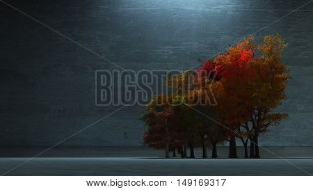 Autumnal Trees 3D Render