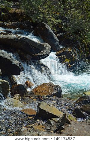 Tangle Creek Waterfall in Jasper National Park, Alberta, Canada