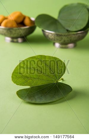indian festival dussehra or vijayadashmi or ayudh puja, showing apta leaf or Bauhinia racemosa with traditional indian sweets pedha in silver bowl