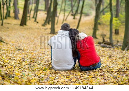 Beautiful young couple in autumn park sitting on the ground covered with yellow leaves, back view