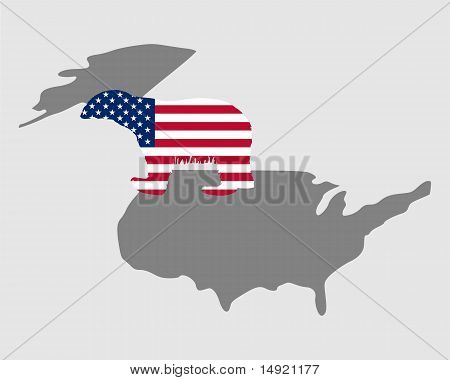 Orso polare americano