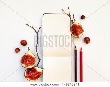 Bright autumn composition of a sketchbook pencils figs chestnuts and tree branches on white background. Flat lay top view overhead view