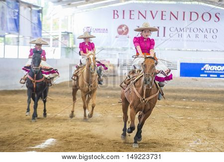GUADALAJARA MEXICO - SEP 01 : Charras participate at the 23rd International Mariachi & Charros festival in Guadalajara Mexico on September 01 2016.