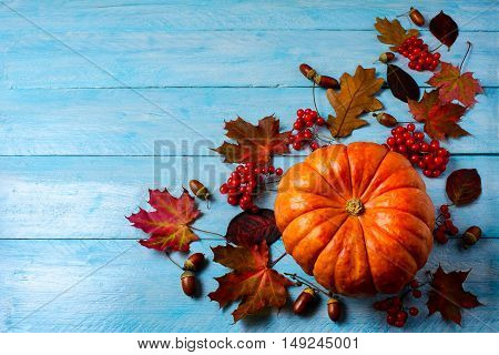Thanksgiving background with ripe pumpkin on blue wooden table. Thanksgiving background with seasonal vegetables and berries.