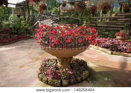 Old wooden decorated in flora garden ,Thailand.