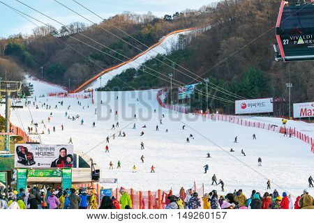 Vivaldi Park Ski Resort  In Korea.