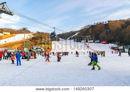 Vivaldi Park Ski Resort  In Korea.