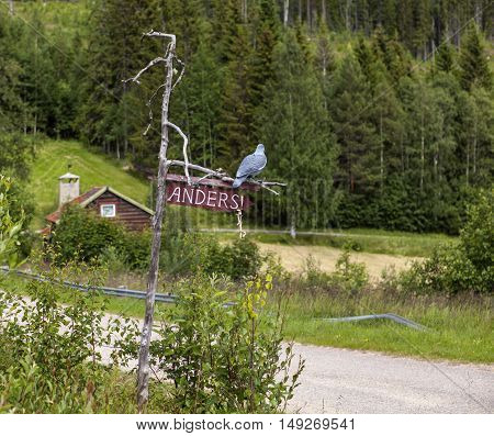 HARJEDALEN, SWEDEN ON JULY 07. Wooden sign, sticks and carved bird on July 07, 2016 in Rural County, Sweden. Gravel road, wooden cabin and a forest in the background. Editorial use.