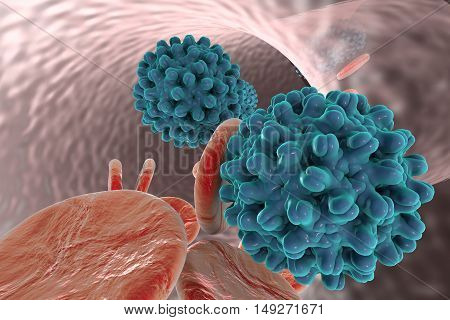 Hepatitis B virus in blood vessel with red blood cells, 3D illustration