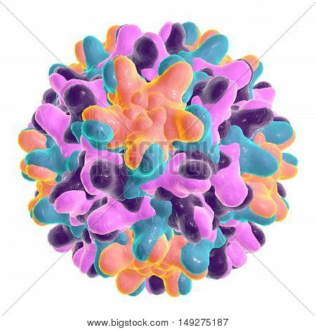 Hepatitis B virus isolated on white background, 3d illustration. A model is built using data of viral macromolecular structure furnished by Protein Data Bank PDB 4G93