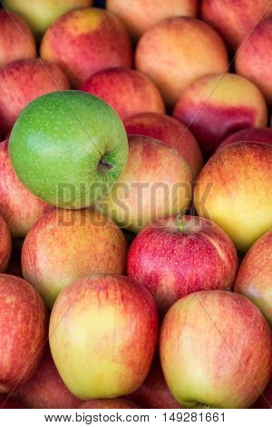 One granny smith apple among group of gala apples laid out in rows at a grocery shop for sale. Green apple among a group of red apples. Vertical. Daylight.
