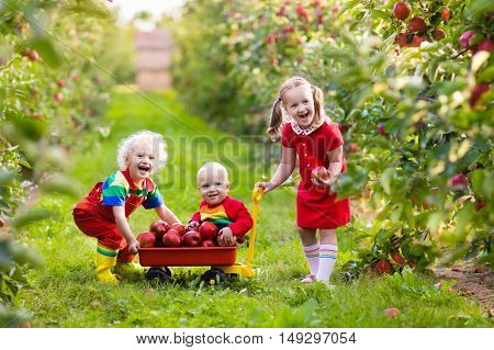 Children picking apples in fruit garden. Girl boy and baby play in apple tree orchard. Kids pick fruit in autumn with a wheel barrow. Little farmers eat apples at fall harvest. Outdoor fun for family