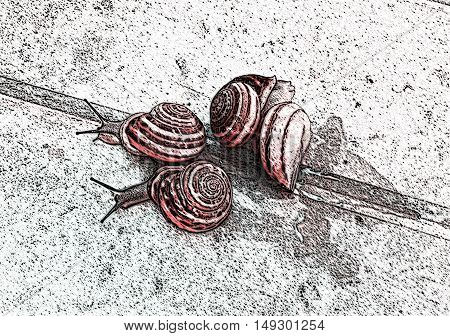 Four grape snails on the road. Illustration