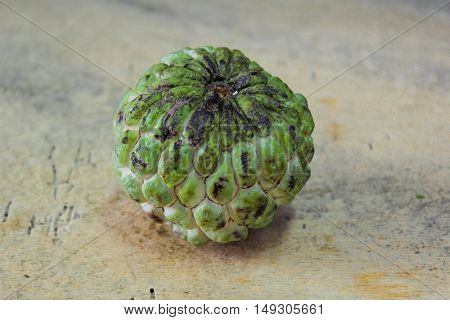 Sugar apple, custard apple (Annona squamosa Linn)
