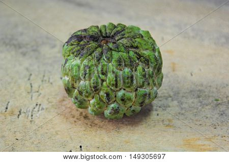 Sugar apple, custard apple (Annona squamosa Linn)