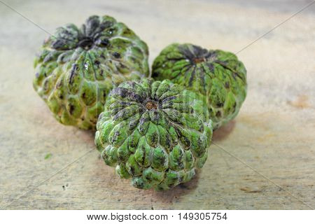 Sugar apple, custard apple (Annona squamosa Linn)