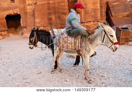 Petra Jordan - November 20 2010: A local guide is waiting with her donkeys for visitors to take through the ancient city of Petra in Jordan. Local bedouins are guiding tourists through the ancient city of Petra on the back of ass. Petra is one of UNESCO h
