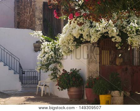 the village of Crete patio with beautiful flowers on the street