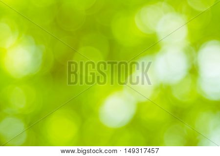 Blurred nature background.Backdrop with color and bright sun light. Summer holidays concept.bokeh background or Christmas background.Green Energy.