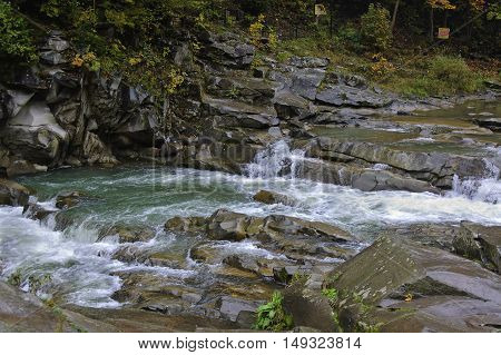 Prut river and its rapids in Carpathian mountains at rainy autumn day