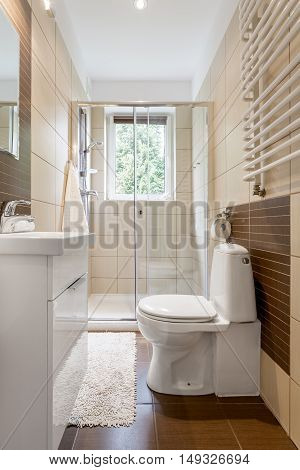 Small And Functional Bathroom Interior