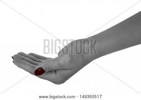 Palm up showing anything natural woman's skin red manicure. Isolated on white background.