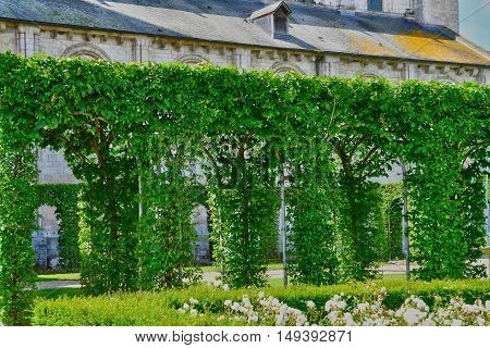 Saint Martin de Boscherville France - june 22 2016 : the Saint Georges abbey in Seine Maritime