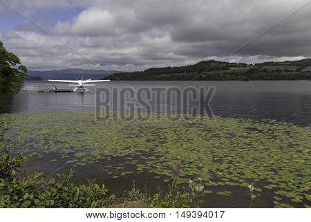 Sea Plane parked on Loch Lomond with lilypads in the foreground