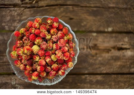 Red Berries On Beautiful Background