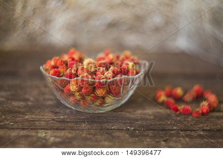 Red Berries On Beautiful Background