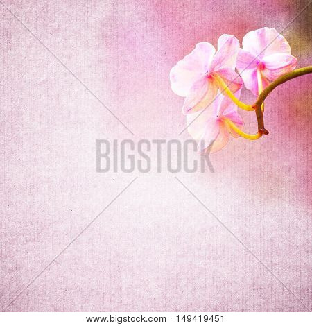 Textured Old Paper Background With Flower