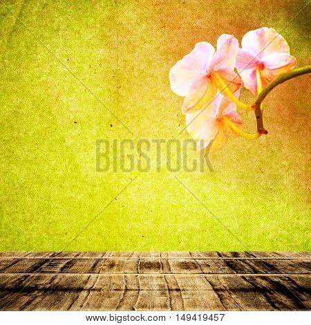Textured Old Paper Background With Flower