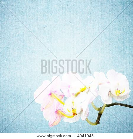 Textured Old Paper Background With Flower