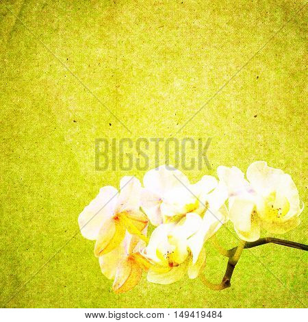 Textured Old Paper Background With Flower