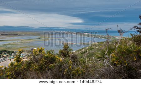 Top view of beautiful rice fields with water in Albufera, Spain.