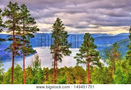 View of Nordfjorden fjord near Utvik in Norway