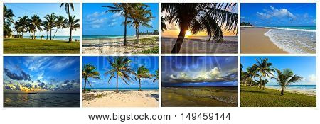 Collage Coast Diani