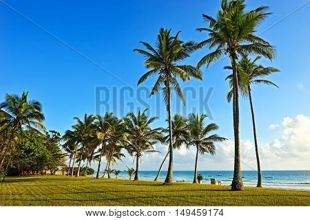 Picturesque Coast Diani