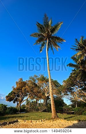 Picturesque Coast Diani