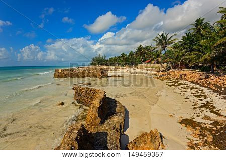Picturesque Coast Diani
