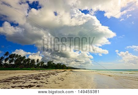 Picturesque Coast Diani