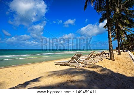 Picturesque Coast Diani