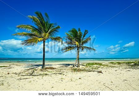 Picturesque Coast Diani