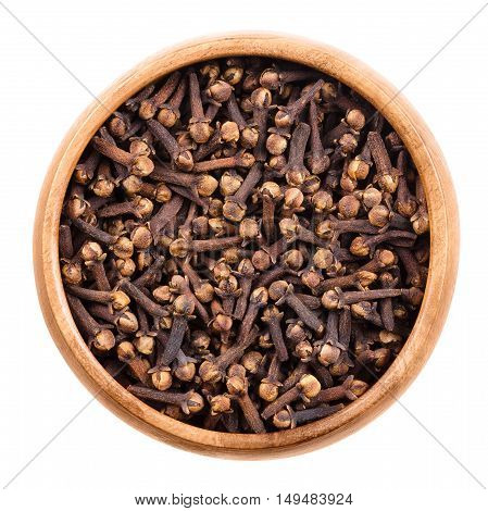 Dried cloves in a wooden bowl on white background. Brown aromatic flower buds of Syzygium aromaticum, commonly used as spice, in beverages or in herbal medicine. Isolated macro food photo close up.