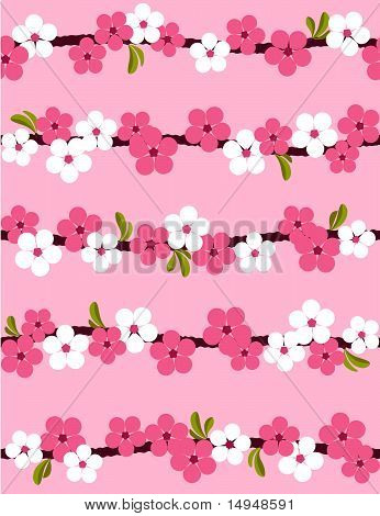 Fleur de la cerise. Arrière-plan transparent. Illustration vectorielle.